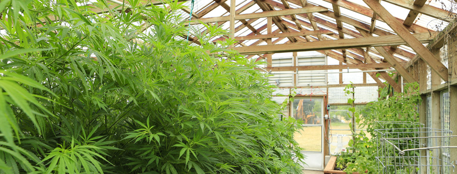 Security Solutions for Apartments in Hurricane, UT